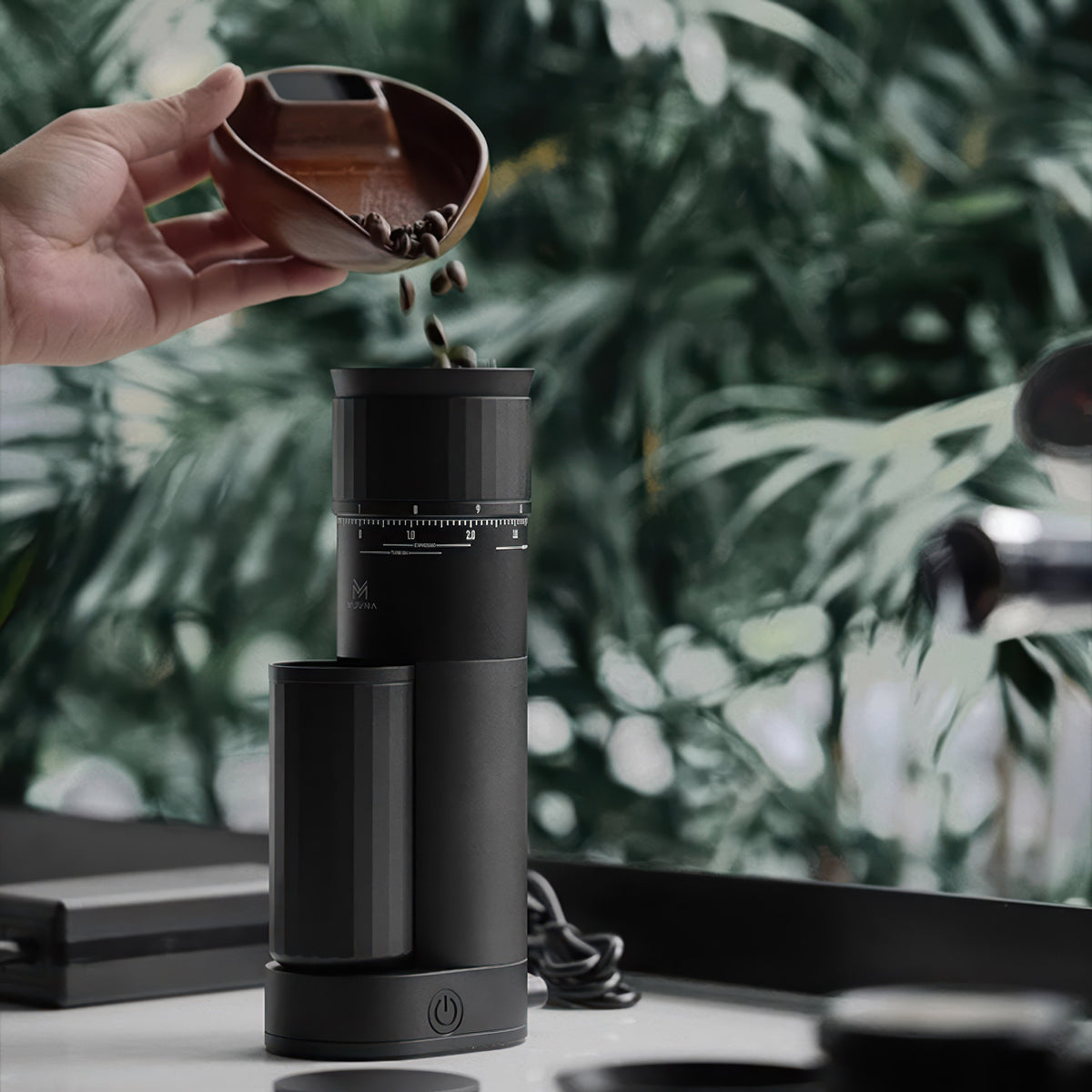 Precision Home Coffee Grinder – top view | Lastaforest