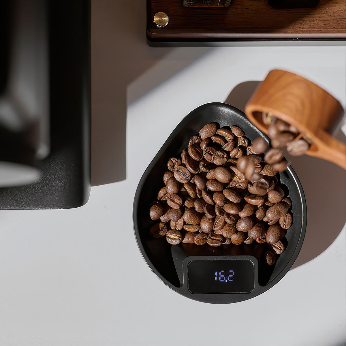 Electronic Walnut Coffee Scale With Leaf Shade – view 13 | Lastaforest