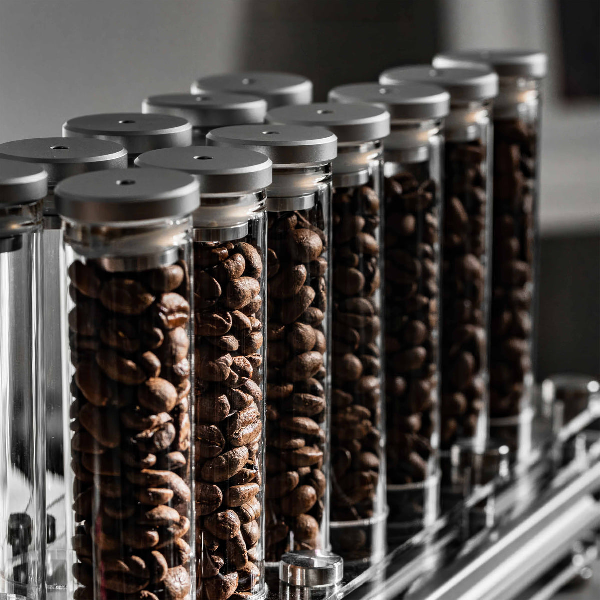 Coffee Bean Storage Bottle with One Way Valve – top view | Lastaforest