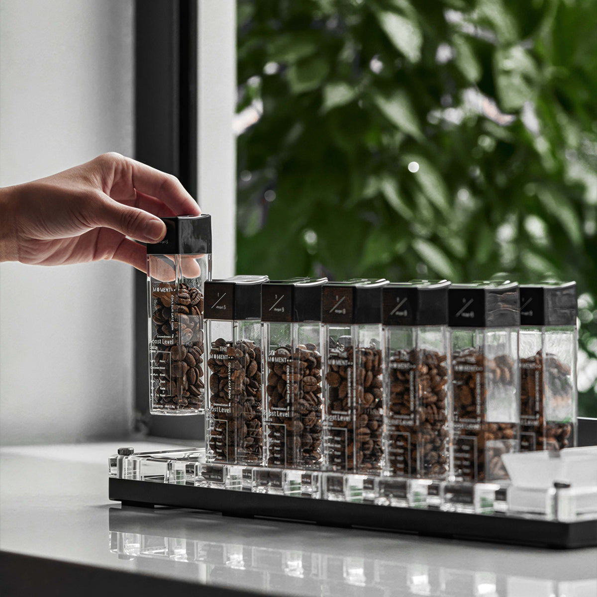 Premium Tubes Coffee Bean Cellars With Stand – view 8 | Lastaforest