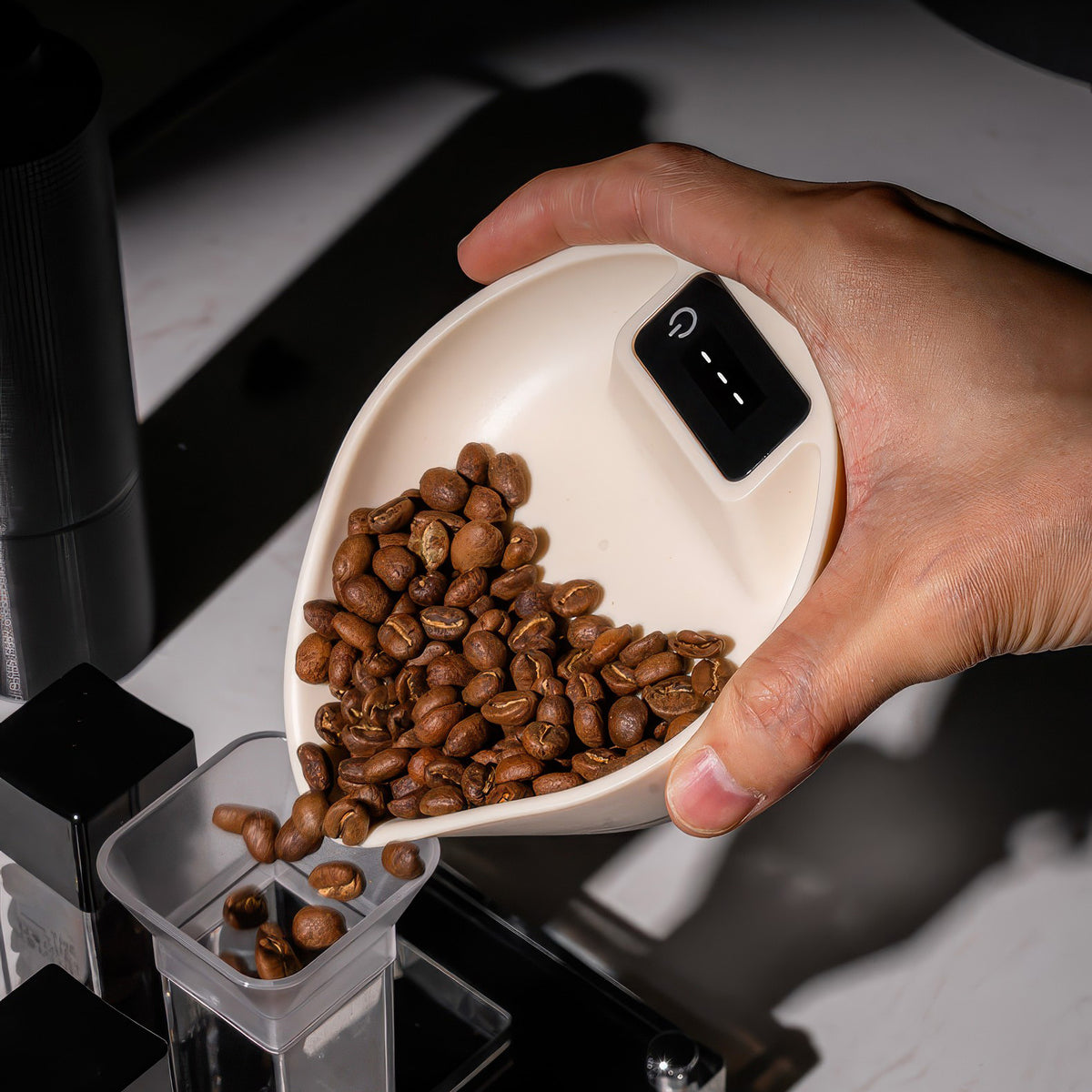 Electronic Walnut Coffee Scale With Leaf Shade – view 16 | Lastaforest