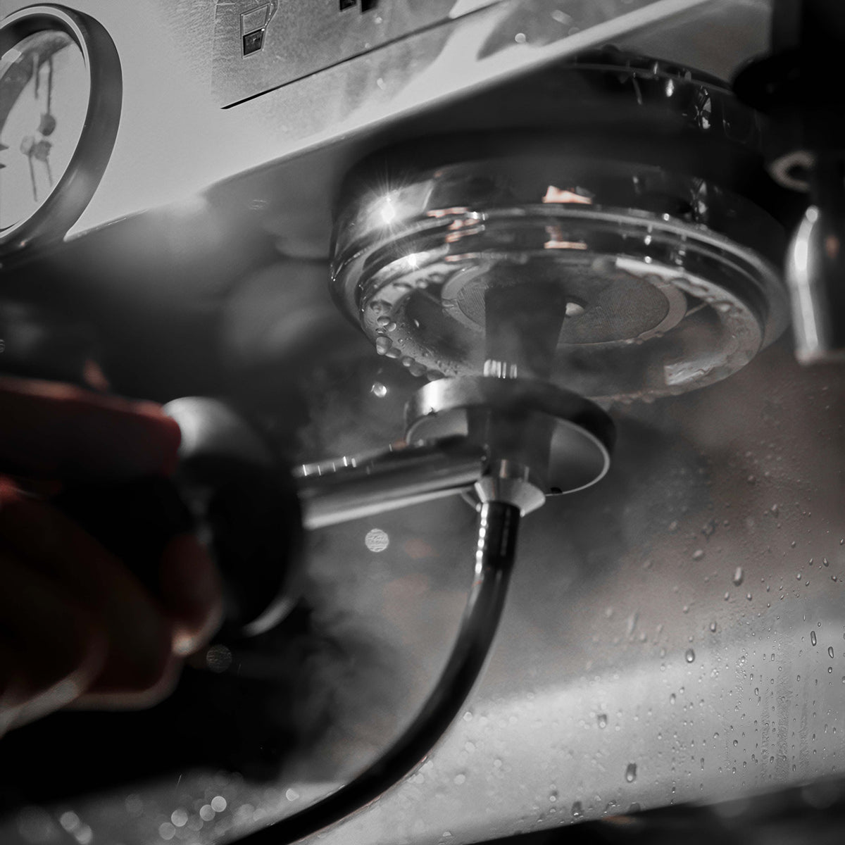 Espresso Coffee Machine Steam Cleaning Brush – view 6 | Lastaforest