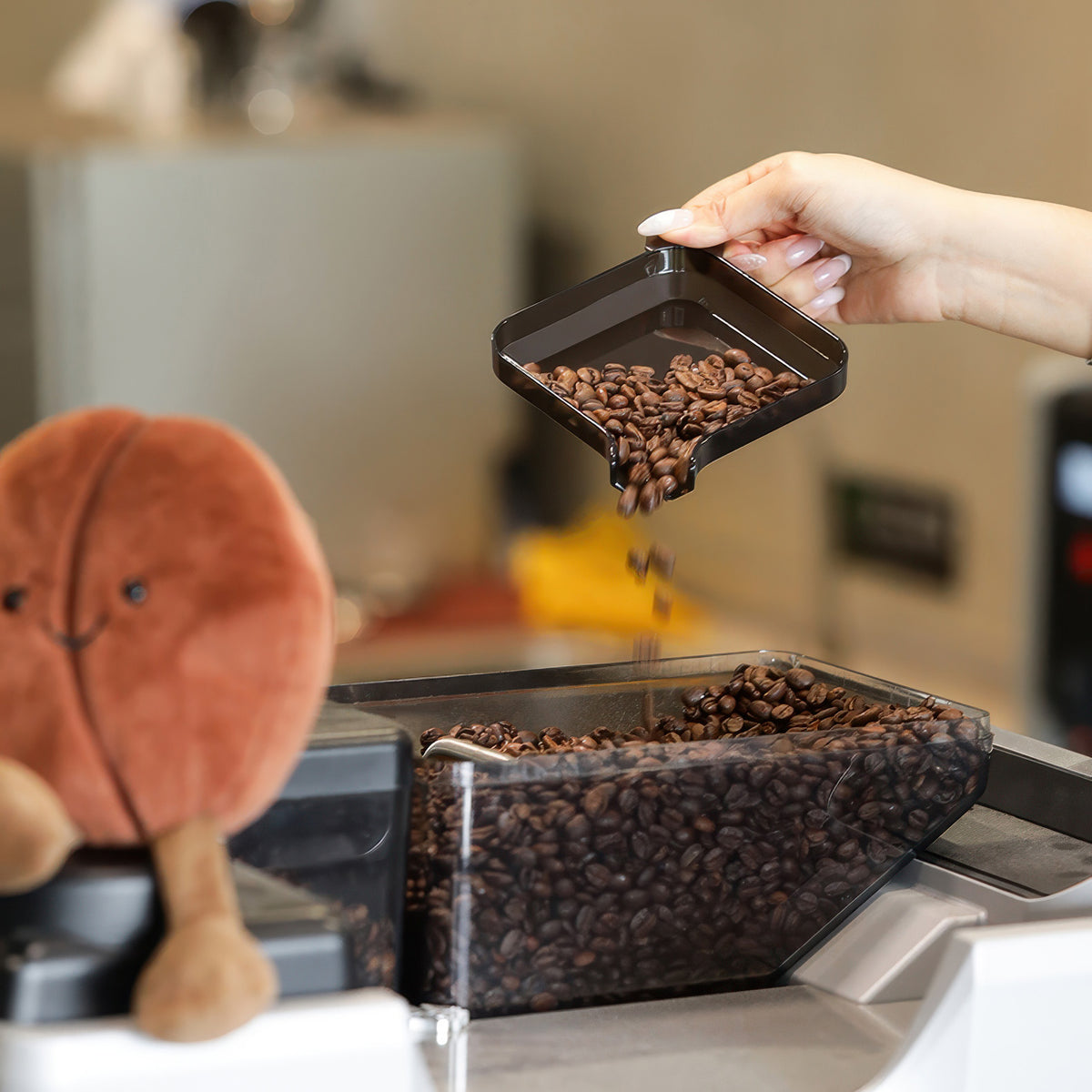 Coffee Bean Weighing Tray – view 11 | Lastaforest