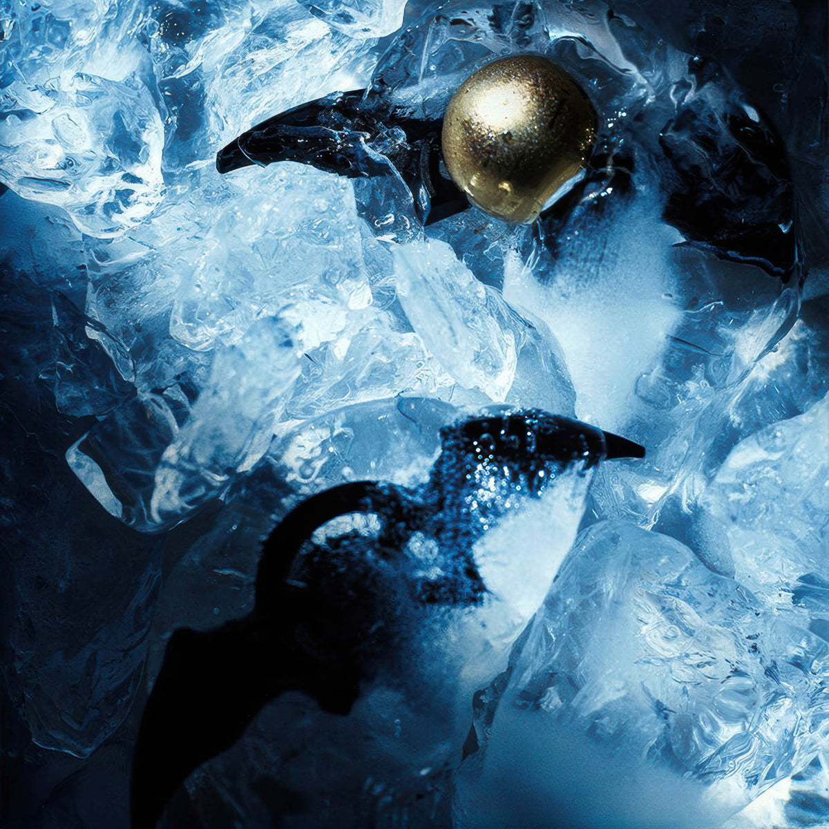 Universal Hand Brewed Coffee Ice Ball Set – detail view | Lastaforest