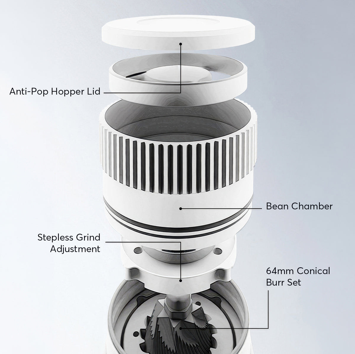 STARSEEKER E64 Electric Coffee Grinder - 64mm Titanium Flat Burr – view 5 | Lastaforest