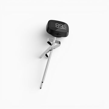 Portable LCD Digital Thermometer | Lastaforest